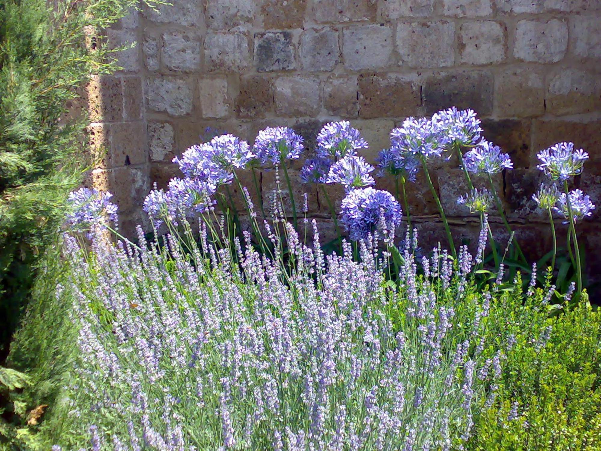 Locanda Palazzone Orvieto Esterno foto