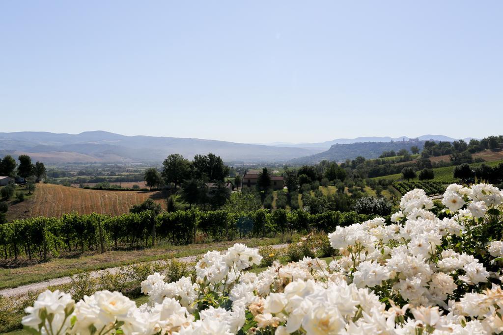 Locanda Palazzone Orvieto Esterno foto