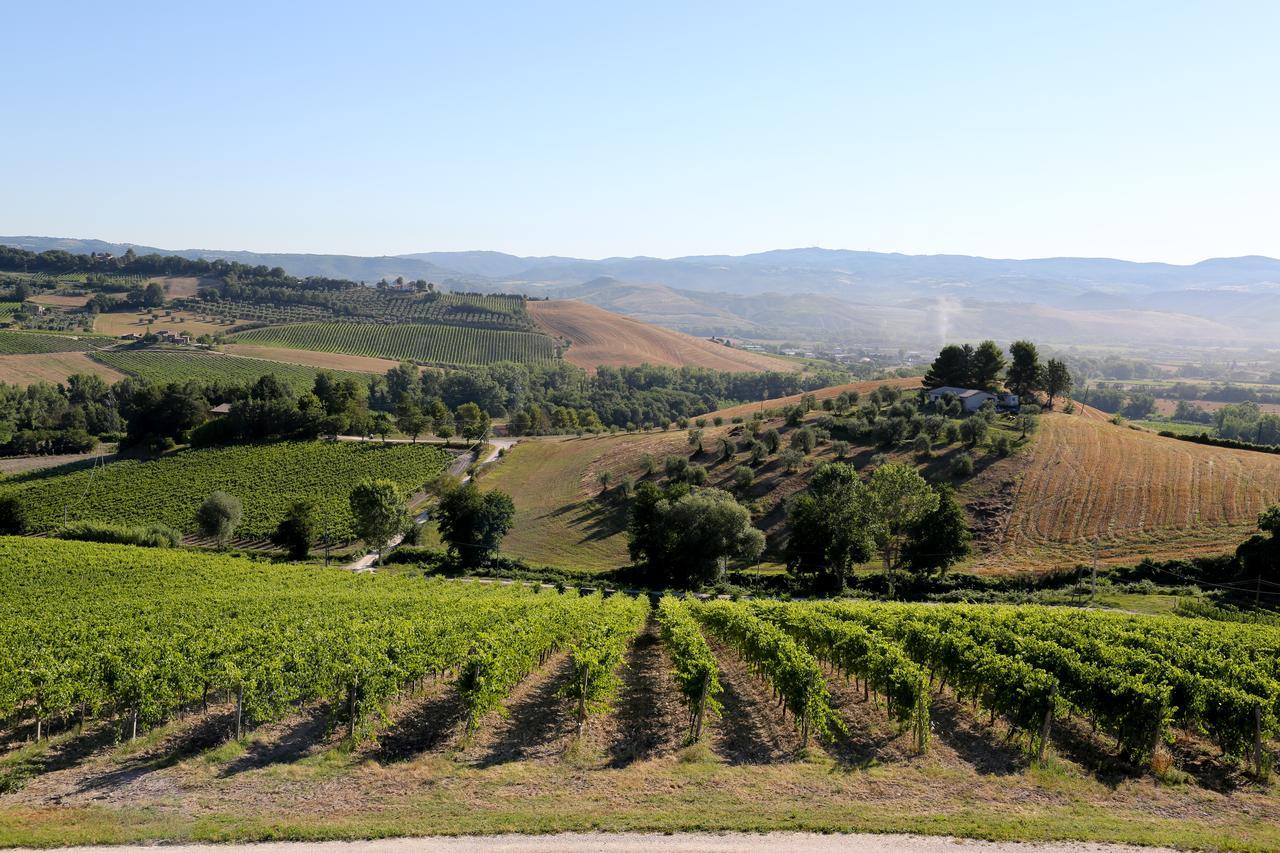 Locanda Palazzone Orvieto Esterno foto